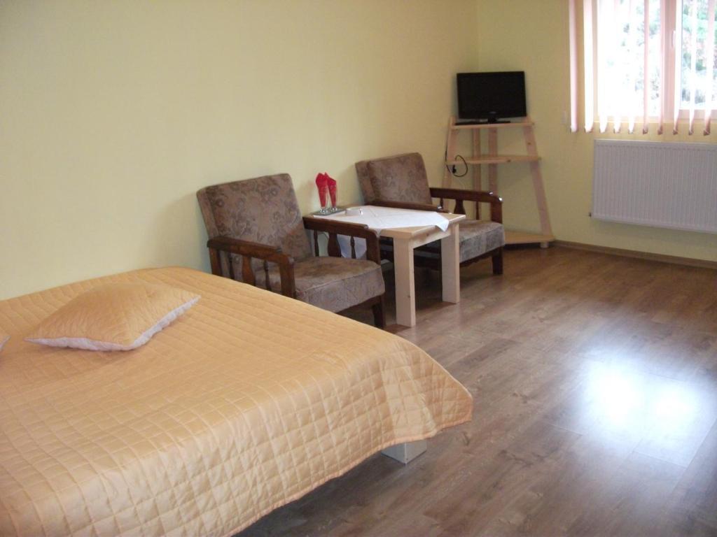 Vila Sport Борсек Номер фото